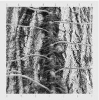 Scarcity - Aveilut ryhmässä VINYYLI @ Bengans Skivbutik AB (4198709)