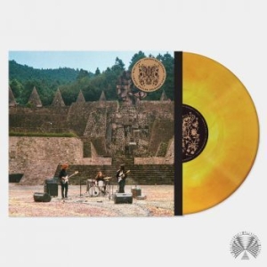 Mint Field - Levitation Sessions ryhmässä VINYYLI @ Bengans Skivbutik AB (4199999)