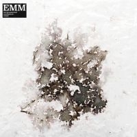 Mcloughlin Sam & David Chatton Bark - Environmental Meditation Music (Emm ryhmässä VINYYLI / Dans/Techno @ Bengans Skivbutik AB (4200016)