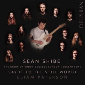 Paterson Lliam - Say It To The Still World ryhmässä CD @ Bengans Skivbutik AB (4204195)