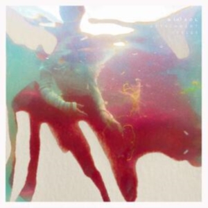 Mhaol - Attachment Styles ryhmässä VINYYLI @ Bengans Skivbutik AB (4204594)