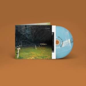 Yo La Tengo - This Stupid World ryhmässä CD @ Bengans Skivbutik AB (4204695)