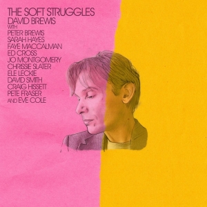 David Brewis - Soft Struggles ryhmässä VINYYLI @ Bengans Skivbutik AB (4204818)