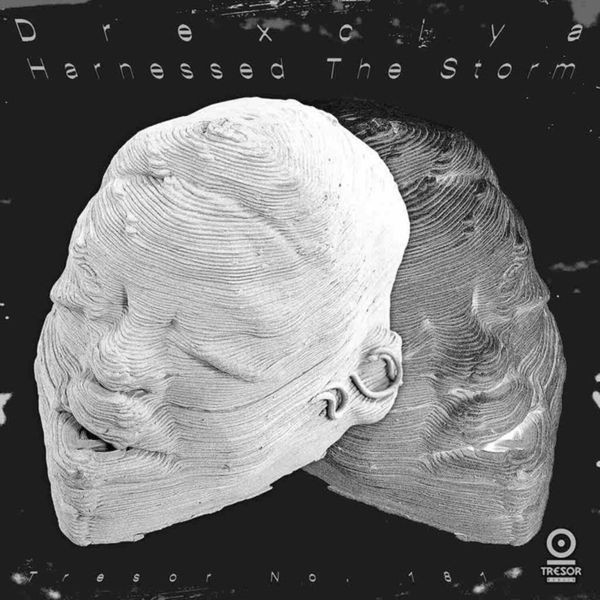 Drexciya - Harnessed The Storm ryhmässä CD / Dans/Techno @ Bengans Skivbutik AB (4204883)