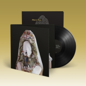 Steve Mason - Brothers & Sisters ryhmässä VINYYLI @ Bengans Skivbutik AB (4205057)