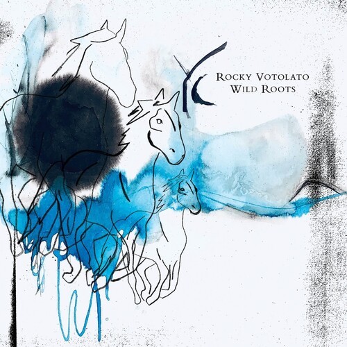 Rocky Votolato - Wild Roots ryhmässä VINYYLI / Myydyimmät @ Bengans Skivbutik AB (4206462)