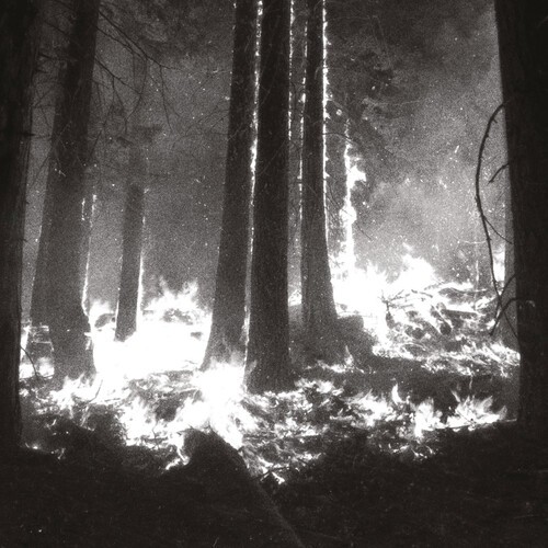 Den Sorte Dïd - Undergangen ryhmässä VINYYLI / Dans/Techno @ Bengans Skivbutik AB (4206951)