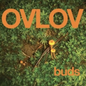 Ovlov - Buds (Indie Exclusive, Orange Vinyl ryhmässä VINYYLI @ Bengans Skivbutik AB (4208413)