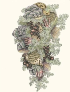 Pyrithe - Monuments To Impermanence ryhmässä CD @ Bengans Skivbutik AB (4208435)