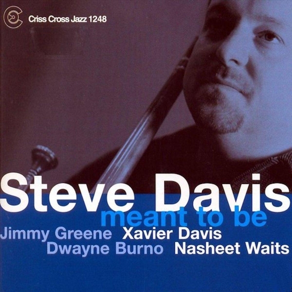 Davis Steve - Meant To Be ryhmässä CD / Jazz/Blues @ Bengans Skivbutik AB (4212605)