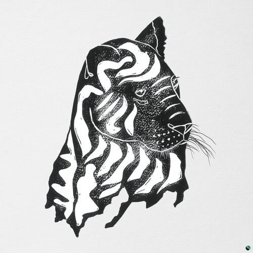 ALPHA STEPPA & AWA FALL - WHAT A JOY ryhmässä VINYYLI / Myydyimmät @ Bengans Skivbutik AB (4213635)