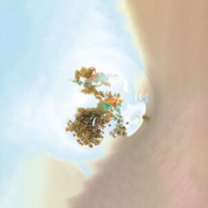 Sam Goku - The Things We See When We Look Clos ryhmässä VINYYLI @ Bengans Skivbutik AB (4213966)