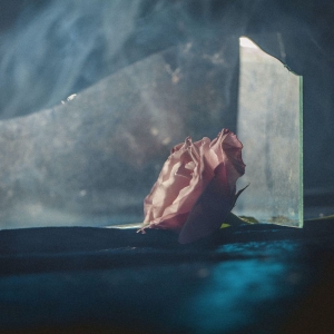 Ranaldo Lee - In Virus Times ryhmässä VINYYLI @ Bengans Skivbutik AB (4216391)