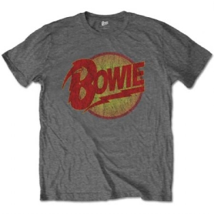 David Bowie - David Bowie Kids T-Shirt: Diamond Dogs Logo (Grey) ryhmässä Minishops / David Bowie / David Bowie Merch @ Bengans Skivbutik AB (4219949r)