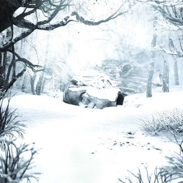 Weezer - Sznz: Winter ryhmässä CD / Myydyimmät @ Bengans Skivbutik AB (4220042)