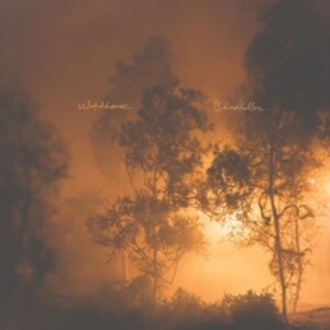 Watchhouse - Blindfaller (Clear Orange Vinyl) ryhmässä VINYYLI @ Bengans Skivbutik AB (4220597)
