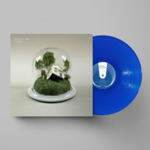 Fenne Lily - Big Picture (Ltd Ultramarine Vinyl) ryhmässä VINYYLI @ Bengans Skivbutik AB (4220614)