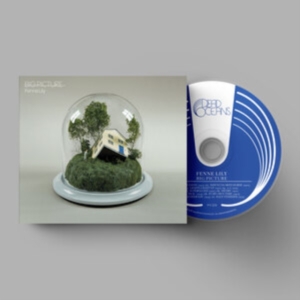 Fenne Lily - Big Picture ryhmässä CD @ Bengans Skivbutik AB (4220621)