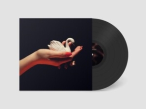 Pale Spring - Cygnus ryhmässä VINYYLI @ Bengans Skivbutik AB (4222222)