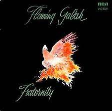 FRATERNITY - Flaming Galah (2Lp/Green Vinyl) (Rsd) ryhmässä VINYYLI @ Bengans Skivbutik AB (4227901)