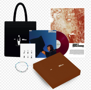 Arlo Parks - My Soft Machine (LP Boxset Transparent Violet Vinyl) ryhmässä -Start Box @ Bengans Skivbutik AB (4230191)