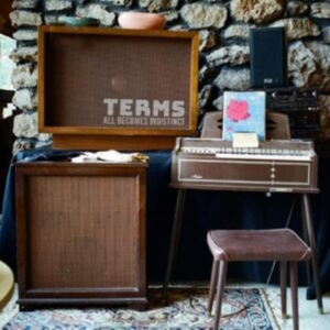 Terms - All Becomes  Indistinct (Random Col ryhmässä VINYYLI @ Bengans Skivbutik AB (4232389)