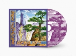 Ozric Tentacles - Curious Corn ryhmässä CD @ Bengans Skivbutik AB (4233225)