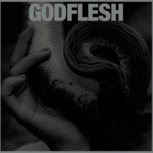 Godflesh - Purge (Vinyl Lp) ryhmässä VINYYLI @ Bengans Skivbutik AB (4236134)