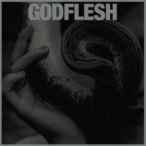 Godflesh - Purge (Vinyl Lp) ryhmässä VINYYLI / Pop-Rock @ Bengans Skivbutik AB (4236134)
