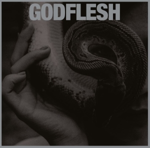 Godflesh - Purge ryhmässä CD @ Bengans Skivbutik AB (4236147)