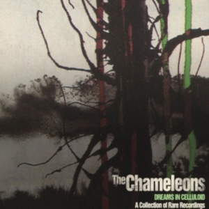 Chameleons The - Dreams In Celluloid (2 Cd) ryhmässä CD @ Bengans Skivbutik AB (4238916)