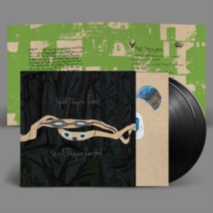 Animal Collective - Spirit They're Gone, Spirit They've ryhmässä VINYYLI @ Bengans Skivbutik AB (4239764)