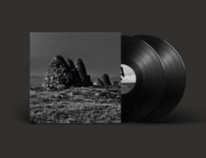 Craven Faults - Standers ryhmässä VINYYLI @ Bengans Skivbutik AB (4241185)