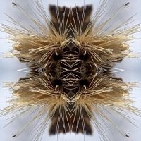 Yakuza - Sutra ryhmässä CD @ Bengans Skivbutik AB (4241253)