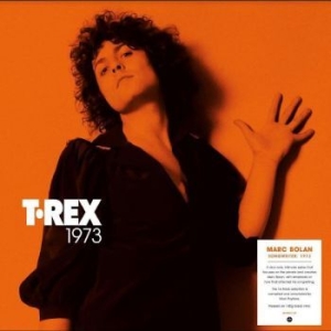 T. Rex - Songwriter: 1973 ryhmässä VINYYLI @ Bengans Skivbutik AB (4242586)
