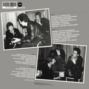 Various Artists - Gary Crowley's Punk & New Wave 2 (1 ryhmässä VINYYLI @ Bengans Skivbutik AB (4244323)