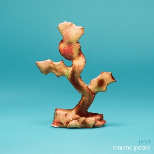 Pozi - Smiling Pools ryhmässä CD @ Bengans Skivbutik AB (4244365)