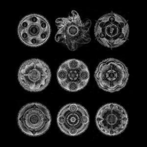 Zorn John & Bill Laswell - Memoria ryhmässä CD @ Bengans Skivbutik AB (4244366)