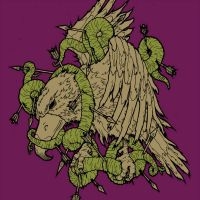 Zozobra - Bird Of Prey (Vinyl Lp) ryhmässä VINYYLI / Myydyimmät @ Bengans Skivbutik AB (4245245)