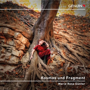 Kallmeyer Ulrich Webern Anton B - Kallmeyer, Webern & Beethoven: Kosm ryhmässä CD @ Bengans Skivbutik AB (4248705)