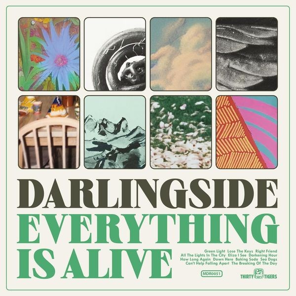 Darlingside - Everything Is Alive ryhmässä VINYYLI / Worldmusic/ Folkmusik @ Bengans Skivbutik AB (4249672)