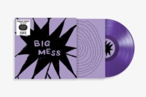 Public Body - Big Mess ryhmässä VINYYLI @ Bengans Skivbutik AB (4255247)