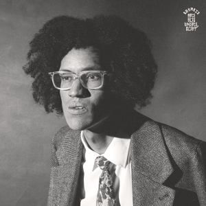 Beharie - Are You There, Boy ? ryhmässä VINYYLI @ Bengans Skivbutik AB (4255593)