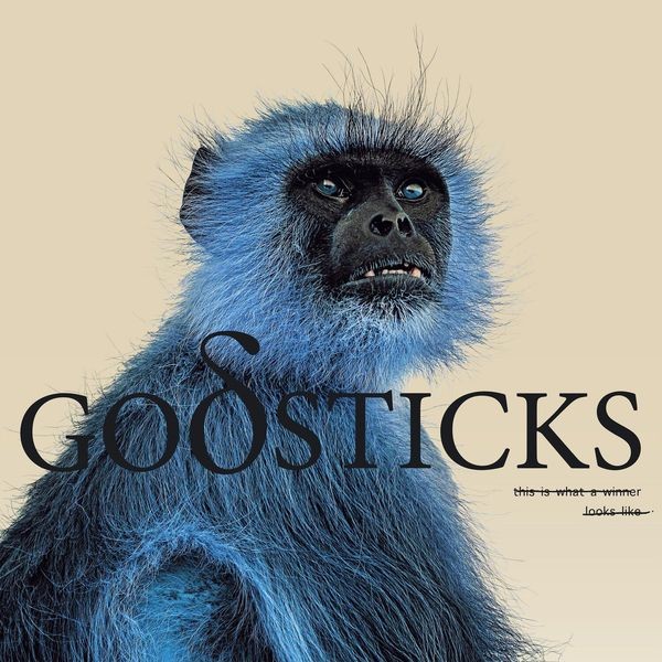 Godsticks - This Is What A Winner Looks Like ryhmässä CD / Pop @ Bengans Skivbutik AB (4256041)