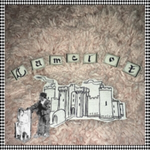 Star Moles - Camelot ryhmässä VINYYLI @ Bengans Skivbutik AB (4256856)