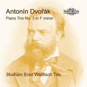 Dvorak Antonin - Piano Trio No. 3 In F Minor ryhmässä CD @ Bengans Skivbutik AB (4258207)