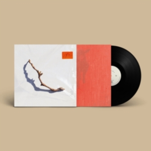 Harvey Pj - I Inside The Old Year Dying ryhmässä VINYYLI / Vinyylimenestykset 2020-luku @ Bengans Skivbutik AB (4258381)