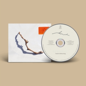 Harvey Pj - I Inside The Old Year Dying ryhmässä CD / CD 20-luvun myydyimmät @ Bengans Skivbutik AB (4258389)