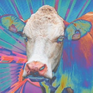 Eyes Of Others - Eyes Of Others ryhmässä CD @ Bengans Skivbutik AB (4259314)