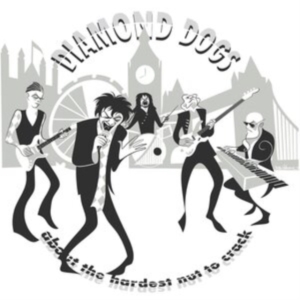 Diamond Dogs - About The Hardest Nut To Crack (Bla ryhmässä VINYYLI @ Bengans Skivbutik AB (4259331)